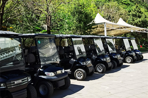 五一假期想去九公山看墓？免费班车接送攻略来了！