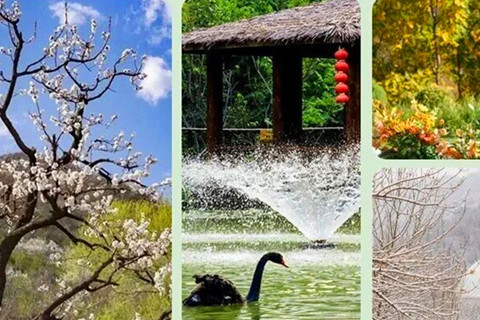 2026年五一劳动节选墓高峰,北京及周边有哪些陵园值得实地去看一看呢？