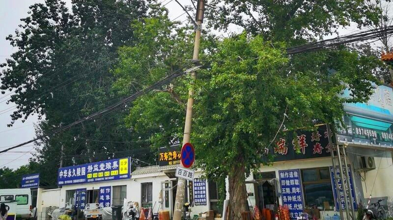 百百路上 百百路上