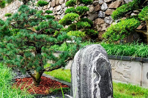 北京市门头沟有树葬墓地吗？分布在哪？什么价格