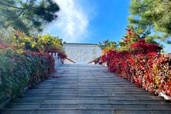 北京人都去河北选墓地了,哪些墓地选得多？